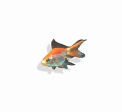 Creation of Fisherman's bowl: Step 2